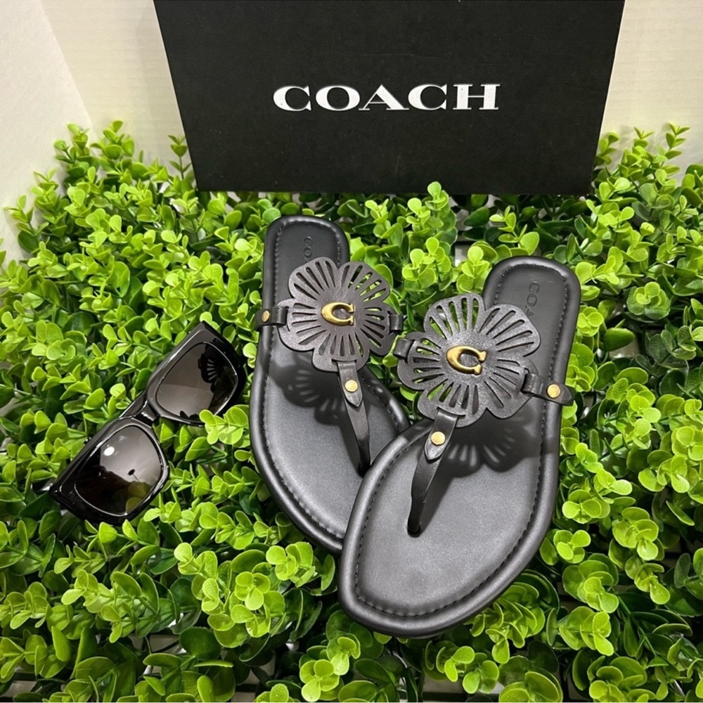 Coach Black Sandals with Sleek Design - Picture 8 of 13